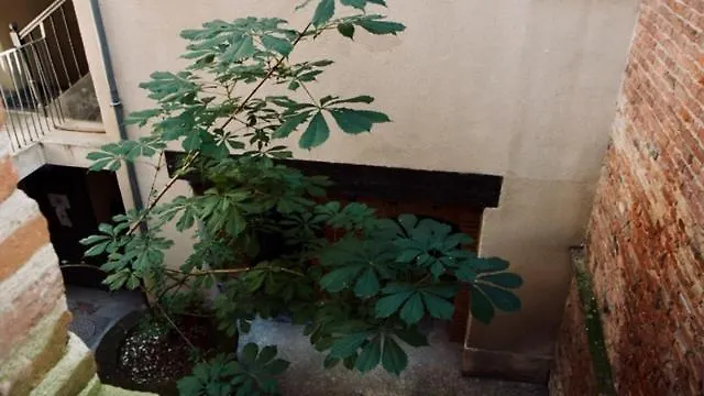 L'Escale Des Libellules Apartamento Montauban