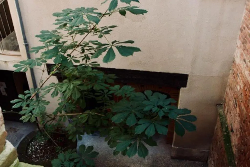 L'Escale Des Libellules Apartamento Montauban